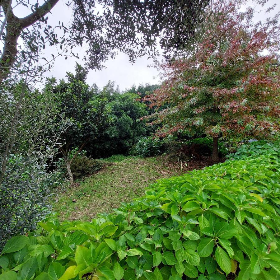 Casa do Penedo - Quinta de Fundevilla Gerês Exterior foto